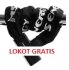 MS energy lokot gratis